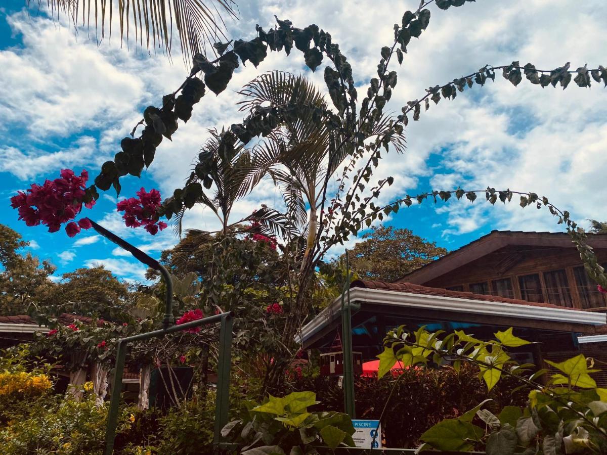 Casa Aba Matapalo Otel Dış mekan fotoğraf